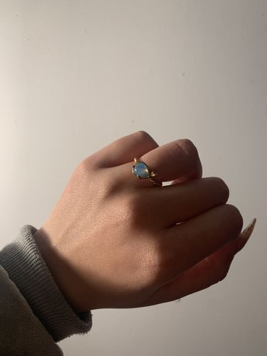 Customer photo review of Whalien 52 Spinning Ring