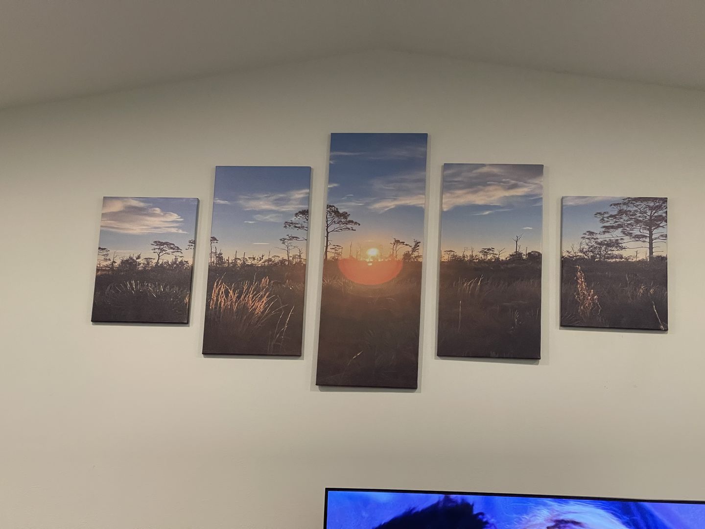 Customer photo review of Design Your Own Custom 5 Panel Canvas Print Wall Art