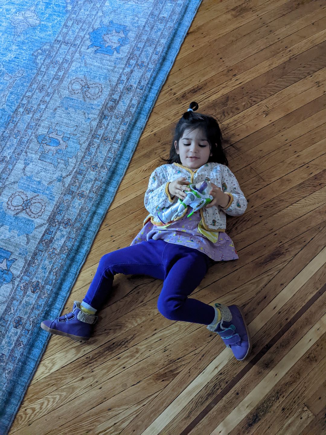 Customer photo review of The Birds Did Sing Reversible Spring Jacket