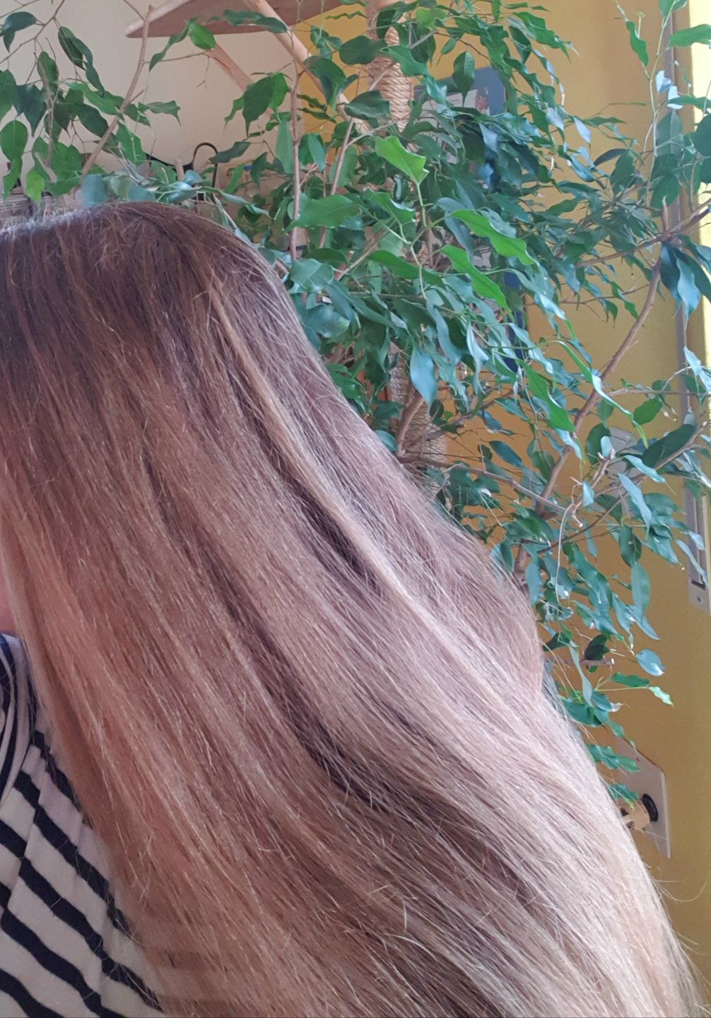 Customer photo review of Loona's SoapSampleBox mit Sisalsäckchen (Alle Düfte)