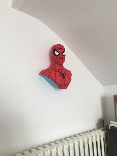 Customer photo review of Patrons Buste Spiderman (pdf)
