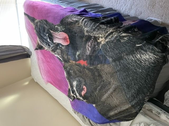 Customer photo review of Custom Pet Art Fleece Blanket