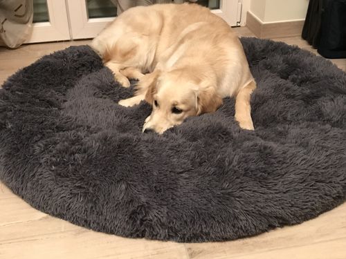 Customer photo review of Cuccia Antistress Per Pelosetti-Super Cucciolo®