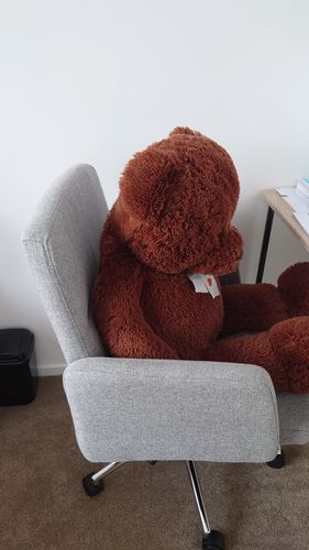 Customer photo review of Megan  Office Chair  (Free Shipping Nationwide)