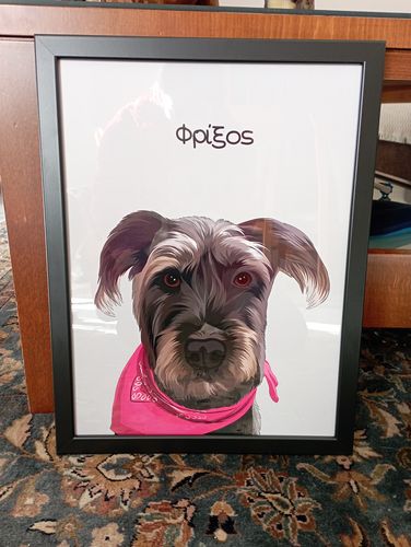 Customer photo review of Πορτραίτο Κατοικίδιου - Πόστερ με κάδρο