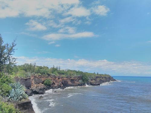 Customer photo review of Dossier Diplômées (analogique)