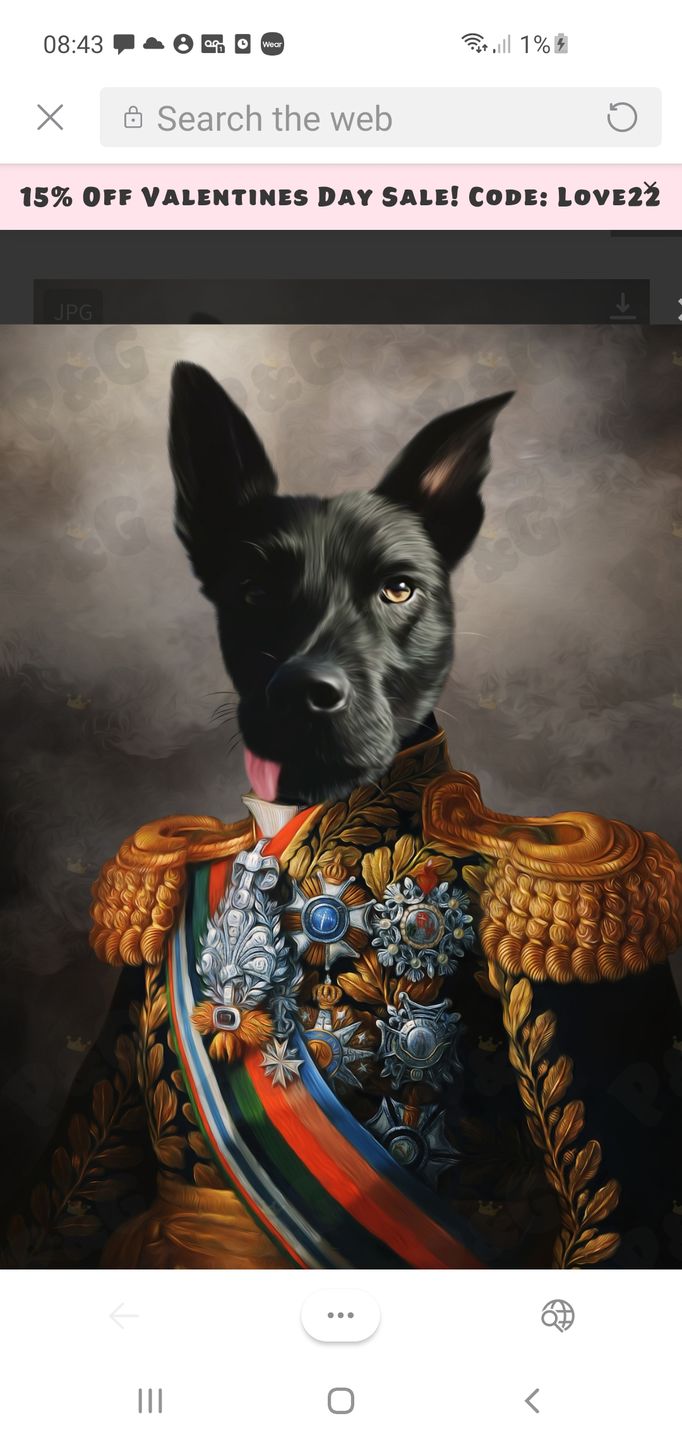 Customer photo review of The First Lieutenant: Custom Pet Portrait