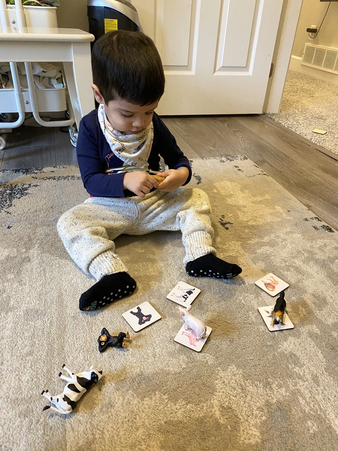 Customer photo review of True Black Socks