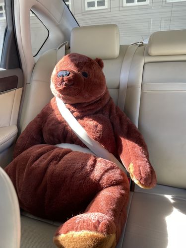 Customer photo review of SKOGGY BEAR