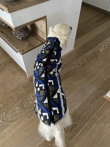 Customer photo review of Pfotenlove - Wärmender & Wasserfester Regen -und Schneeschutzmantel - Design Yellow Edition