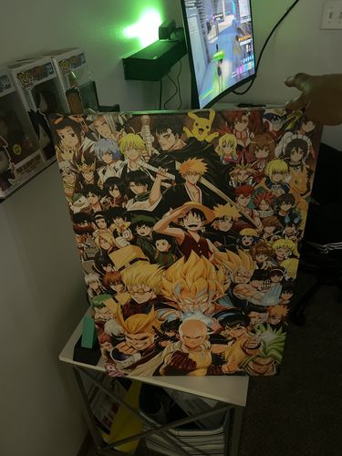Customer photo review of Infinite Anime [Canvas]