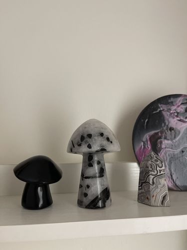 Customer photo review of Tourmalinated Quartz Mushroom-XL