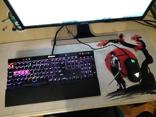 Customer photo review of Swordsman Pirate