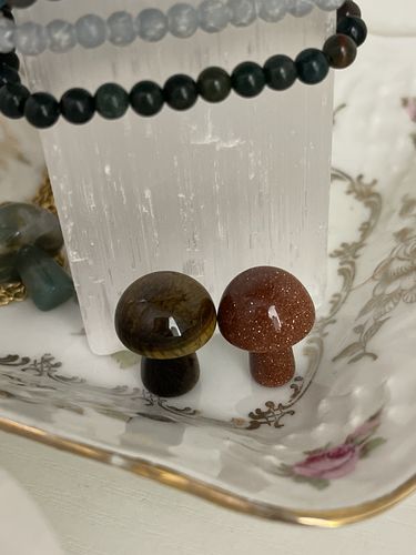 Customer photo review of Tiger’s Eye & Goldstone Mini Mushroom Duo