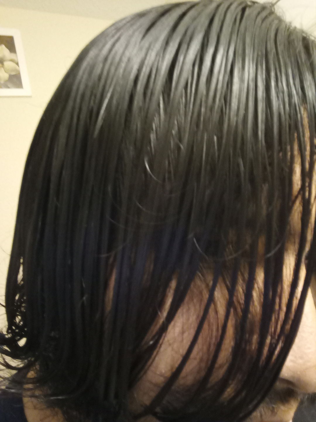Customer photo review of TheSalonGuy HEMP Duo – Vegan, Sulfate-Free Shampoo & Conditioner Set