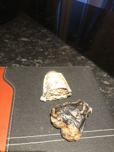 Customer photo review of Great&Small Chew on Salmon Bone