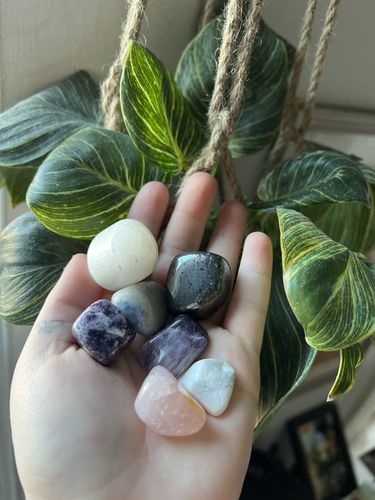 Customer photo review of The CALM Set