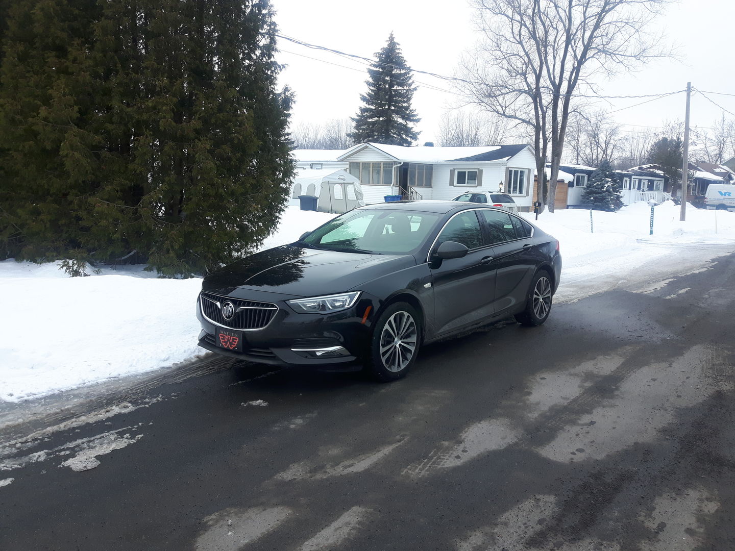 Customer photo review of Waylon Jennings Flying W License Plate