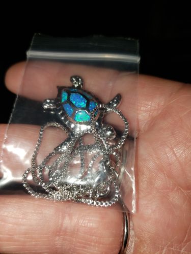 Customer photo review of Save a Turtle Necklace