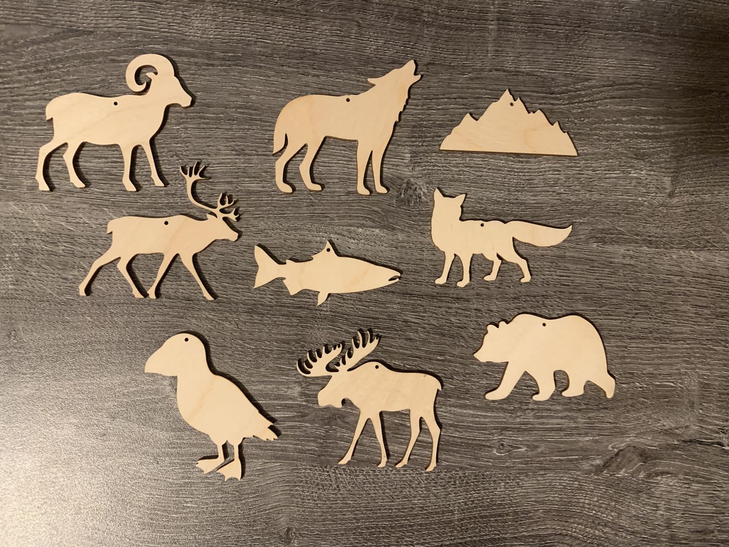 Customer photo review of Unfinished Wooden Moose Shape - Animal - Craft - up to 24" DIY
