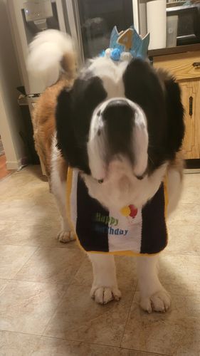 Customer photo review of Big Dog Mom Barrel Hoodie