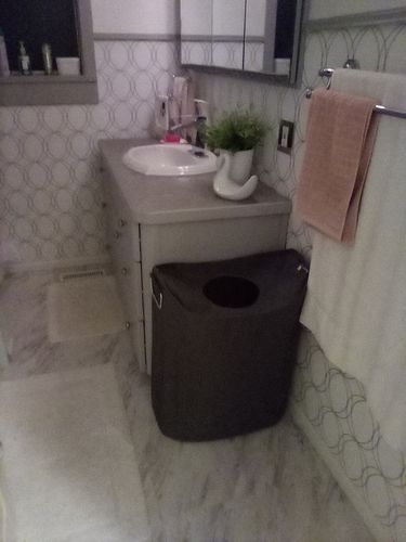 Customer photo review of Woven Oversized Laundry Hamper, 65L