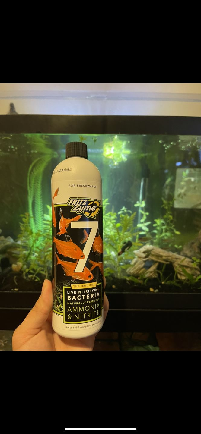 Customer photo review of FritzZyme 7 Freshwater Live Bacteria