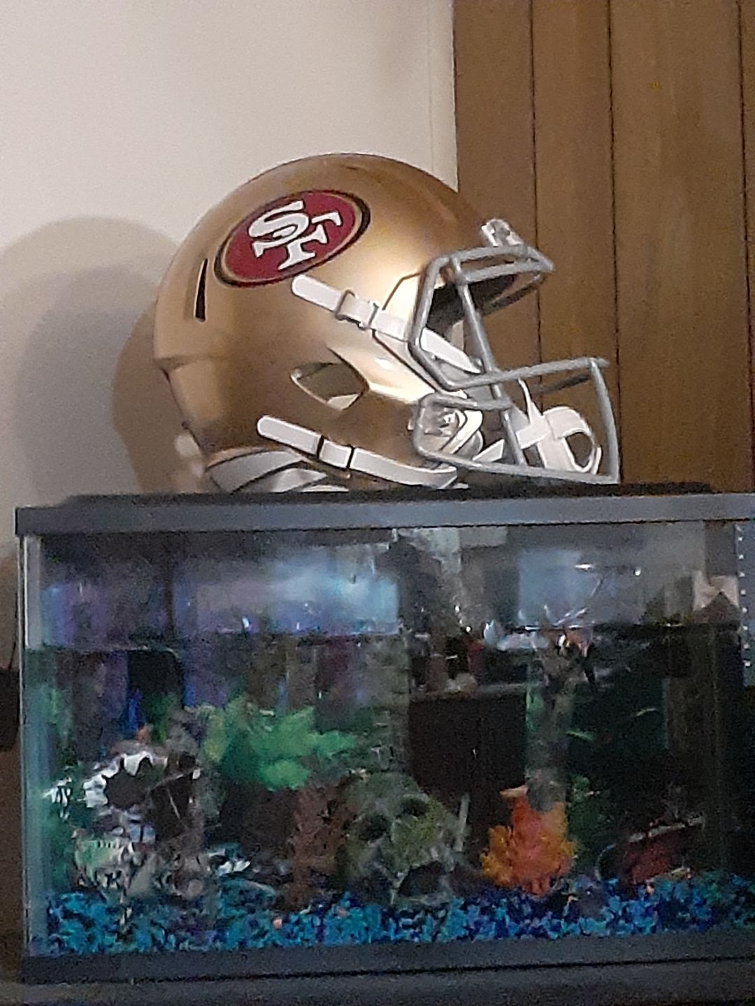 Customer photo review of San Francisco 49ers Riddell Speed Full Size Replica Football Helmet