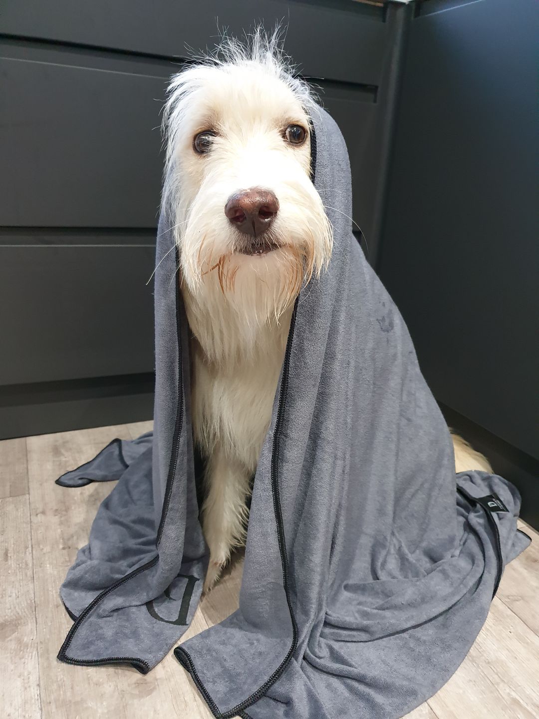 Customer photo review of Luxury Dog Towel