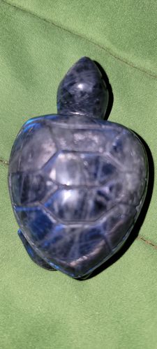 Customer photo review of Flashy Labradorite Turtle