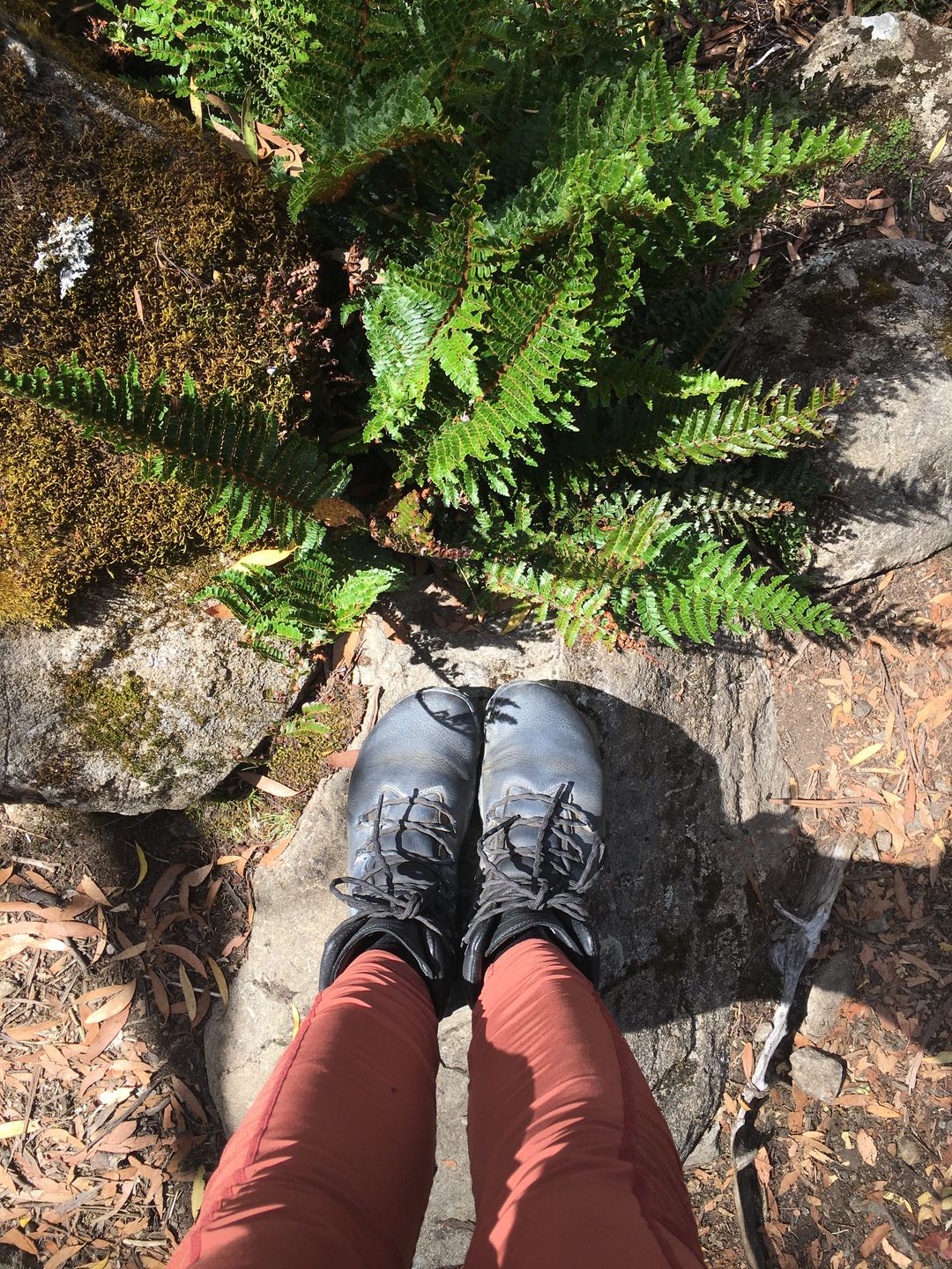 Customer photo review of Vivobarefoot Tracker Forest Esc Womens Obsidian