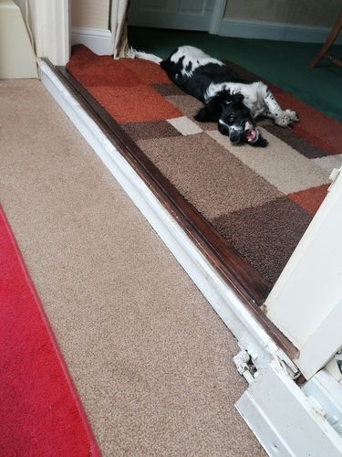 Customer photo review of Everest Dog Yak Chews