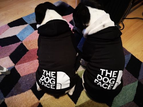 Customer photo review of Adidog-Dog Face Hoodies