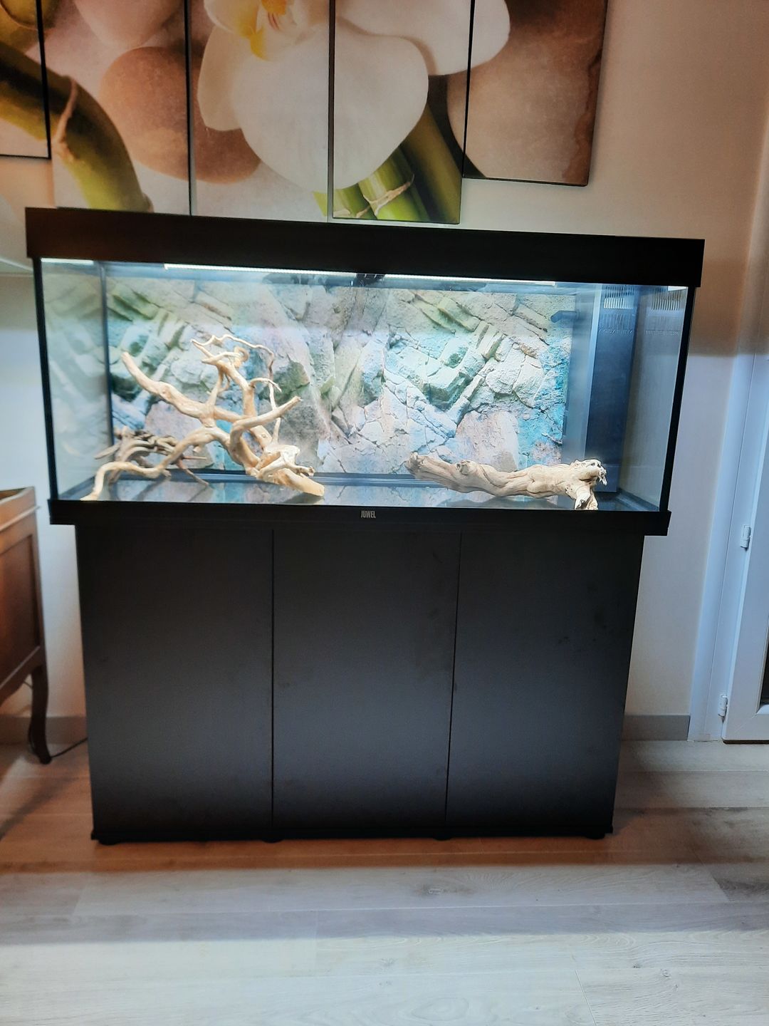 Customer photo review of Aquarium Rio 240 LED Noir Équipé JUWEL - 240L