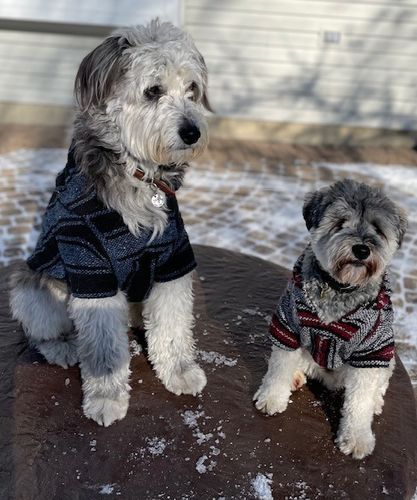 Customer photo review of Playa Poncho