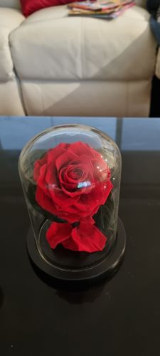 Customer photo review of RED Mini Rose Dome