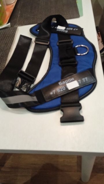 Customer photo review of Safety No Pull Dog Harness