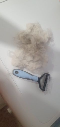 Customer photo review of Dual-Head Safe Pet Dematting Comb
