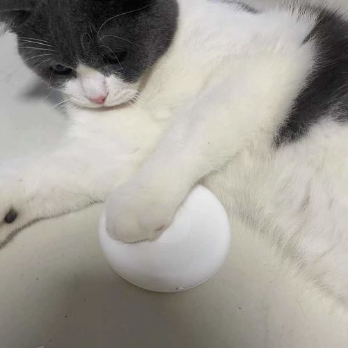 Customer photo review of Mayitwill Negative Ion Smart Deodorizer | Cat Litter Box Odor Eliminator