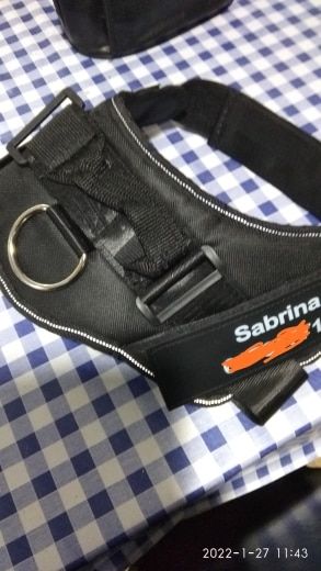 Customer photo review of Safety No Pull Dog Harness