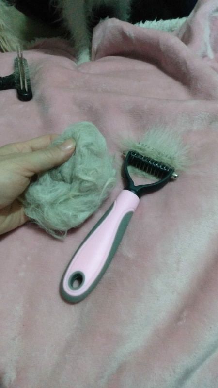 Customer photo review of Dual-Head Safe Pet Dematting Comb