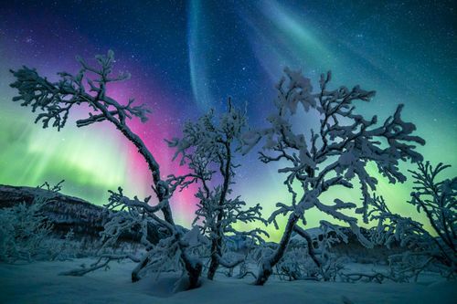 Customer photo review of Sarahbio - huile de pépins de figue de barbarie - 30 mL