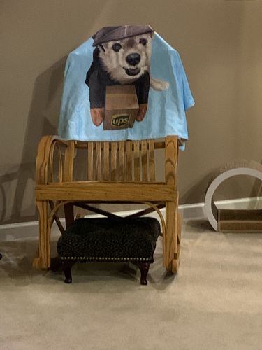 Customer photo review of Custom Pet Print Fleece Blanket