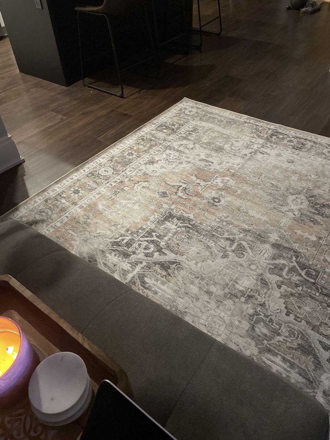 Customer photo review of Distressed Vintage Cezanne Blush Area Rug