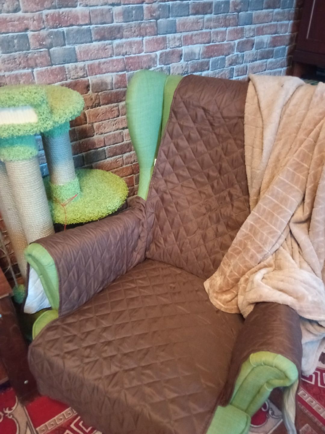 Customer photo review of Waterproof Pet Sofa Cover