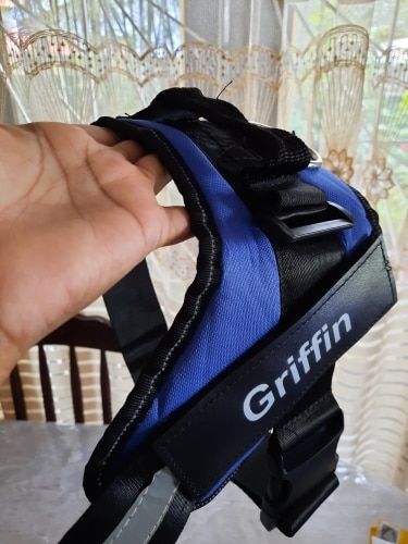 Customer photo review of Safety No Pull Dog Harness