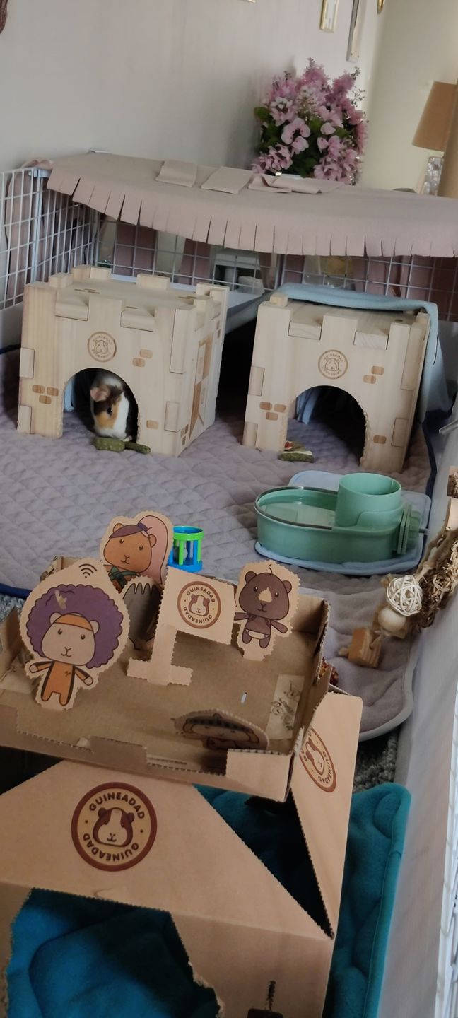 Customer photo review of GuineaDad Queen's Castle
