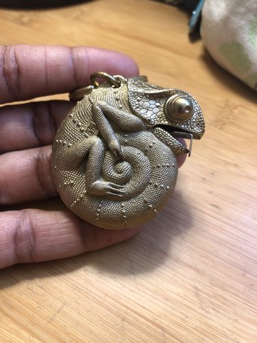 Customer photo review of Chameleon Tape Measure | Brass
