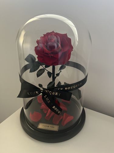 Customer photo review of The Everlasting Rose - Red