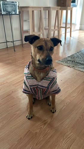 Customer photo review of Playa Poncho